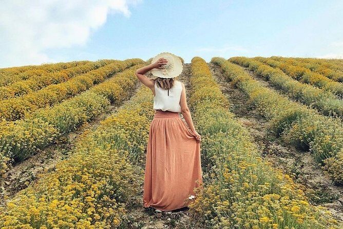 Immortelle farm island Krk - Why You Might Love This Tour