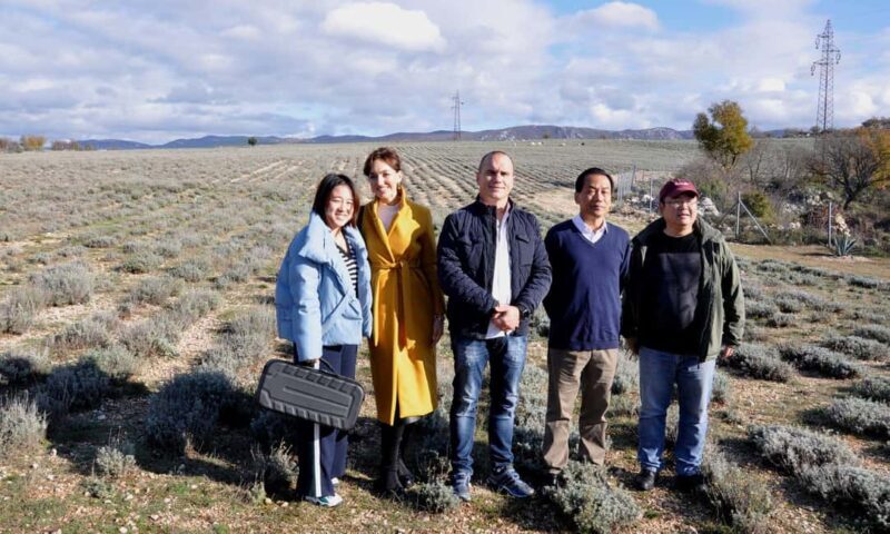 Immortelle Farm Tour with Donkeys and Distillery - An Honest Look at the Immortelle Farm Tour