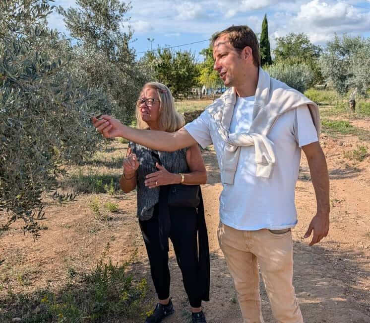 Imperial Tarragona: Liquid Gold & Rural Banquet - Olive Oil Mill Experience