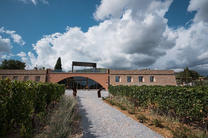 In a carriage among the vineyards, visit of the cellar, tasting of organic wines. - Discovering Tuscany’s Vineyards by Carriage and Wine Tasting: An Honest Review