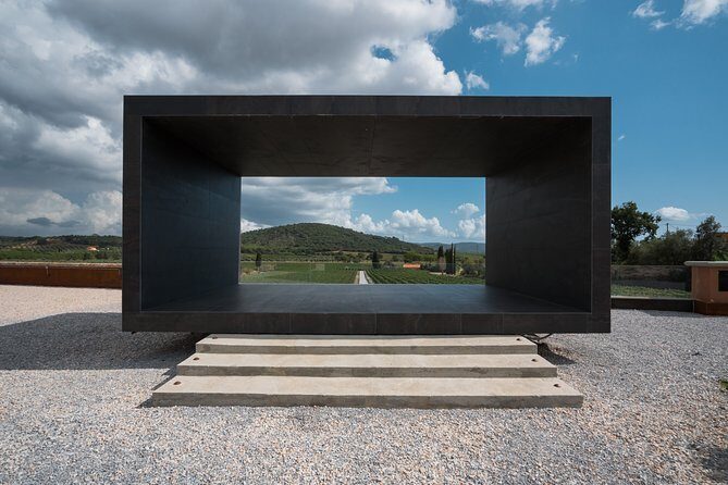 In a carriage among the vineyards, visit of the cellar, tasting of organic wines. - The Sum Up