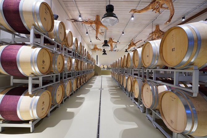 In a carriage among the vineyards, visit of the cellar, tasting of organic wines. - FAQ