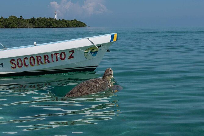 In Contact with Nature, Sian Ka'an Biosphere Boat Ride Tour - What’s Included and What’s Not