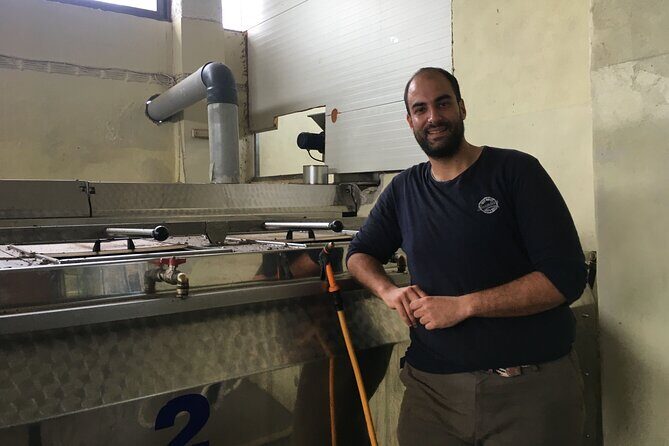 In Crete Discover the miracle of Olive Oil and Organic Fruits - Practical Details and Value