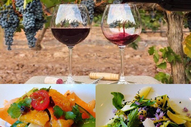 In Depth Chateauneuf-du-Pape - What You Can Expect from the Tour