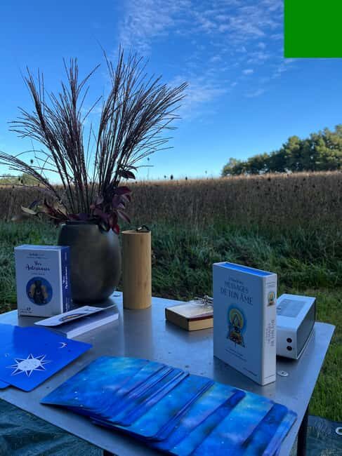 In Gironde: Yoga, walk, and brunch in naturefor all levels - What you can expect from this Gironde yoga and nature day