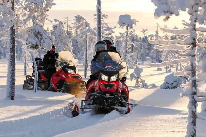In Pursuit of Reindeer - Snowmobile safari to reindeer farm in Rovaniemi - Key Points