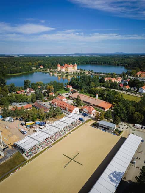In the shadow of Moritzburg Castle  a guided tour through the town center - FAQs