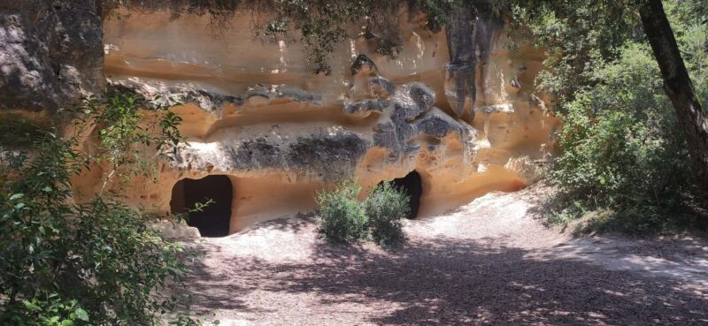 In the woods of Bibbona, a walking tour with an archaeologist in a mysterious necropolis - Discovering the Mysteries of the Etruscans in Bibbona