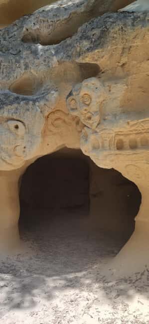 In the woods of Bibbona, a walking tour with an archaeologist in a mysterious necropolis - The Experience of Visiting a Mysterious Necropolis