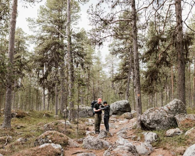 Inari: Hiking Day with picnic lunch - What’s the Experience Like?