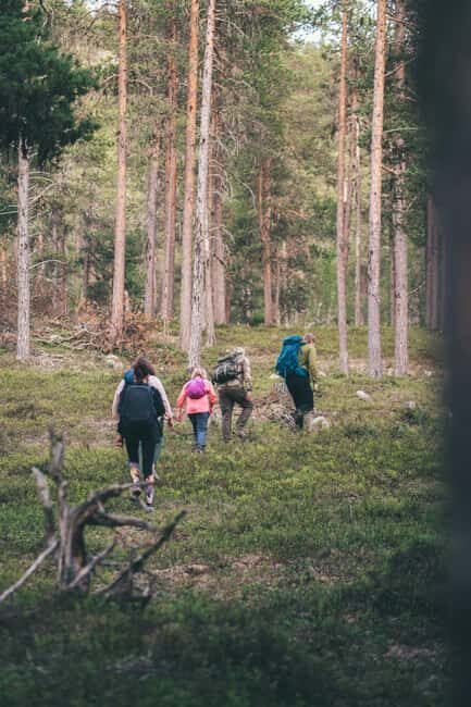 Inari: Hiking Day with picnic lunch - Who Should Consider This Tour?