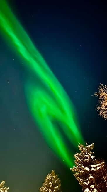Inari/Ivalo: Aurora Hunting Tour by Car with Warm Drinks - The Experience: What to Expect on the Tour