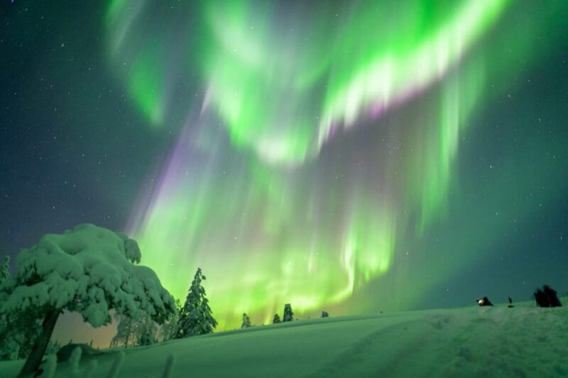 Inari: Northern Lights Hunt Snowmobile Safari - Key Points