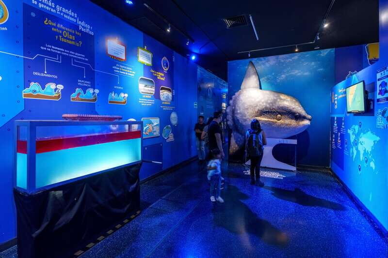 Inbursa Aquarium Entry Ticket with VR Option - What to Expect from the Inbursa Aquarium Tour