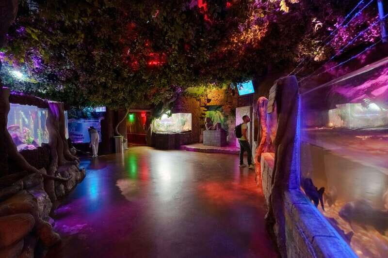 Inbursa Aquarium Entry Ticket with VR Option - How the Ticket Works