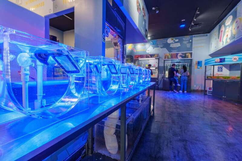Inbursa Aquarium Entry Ticket with VR Option - Real Traveler Insights