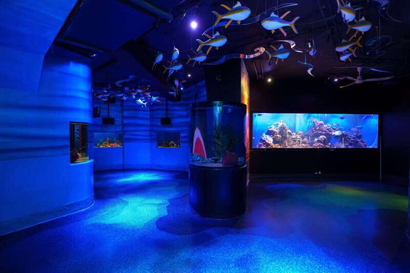 Inbursa Aquarium Entry Ticket with VR Option - The Bottom Line: Who Should Consider This Tour?