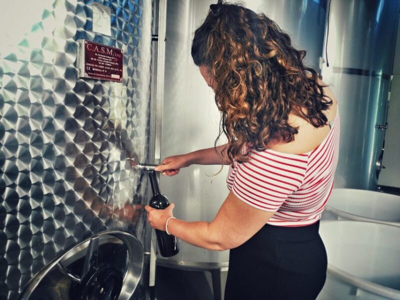 Incredible experience in a organic company - Key Points