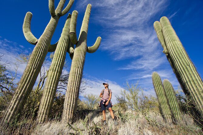 Incredible Hidden Valley Guided Hike in Phoenix, Arizona - Who Will Love This Experience?