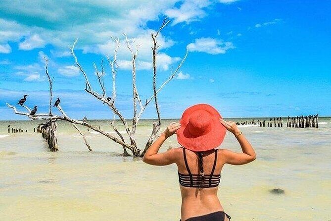 Incredible Holbox Island Tour Punta Mosquito only from Tulum - An Honest Look at the Holbox Island Tour Experience