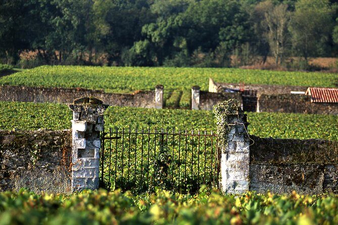 Incredible Loire castles tour with Wine tastings and Lunch - What Travelers Say