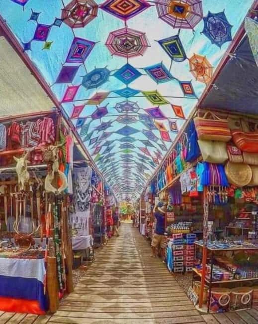 Incredible Private Tour to Todos Santos Magical Town - The Experience Provider & Reviews