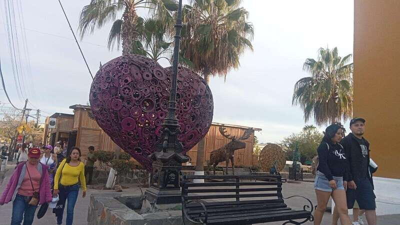 Incredible Private Tour to Todos Santos Magical Town - FAQs