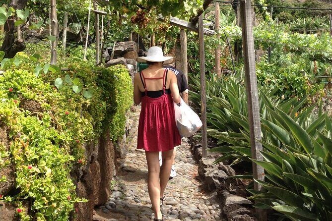 Incredible tour to a 'Faja' with a story - FAQ