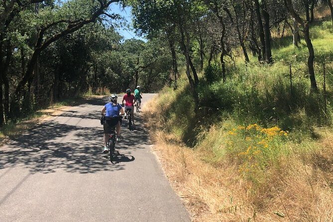 Independent Hassle-free Bike Rental in Sonoma - Why It’s a Good Fit for Different Travelers