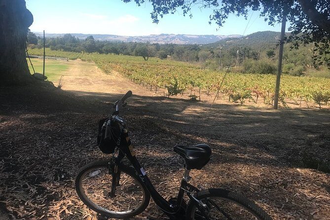 Independent Hassle-free Bike Rental in Sonoma - FAQs