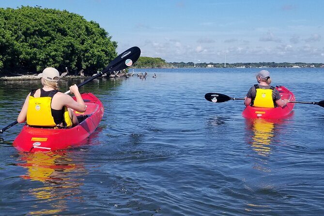 Indian River Clear Bottom Kayak or Paddleboarding Manatee and Dolphin Tour - What to Expect from the Tour
