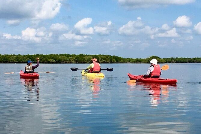 Indian River Lagoon Preserve Kayak Tour - Indian River Lagoon Preserve Kayak Tour Review: A Calm Escape into Nature’s Beauty