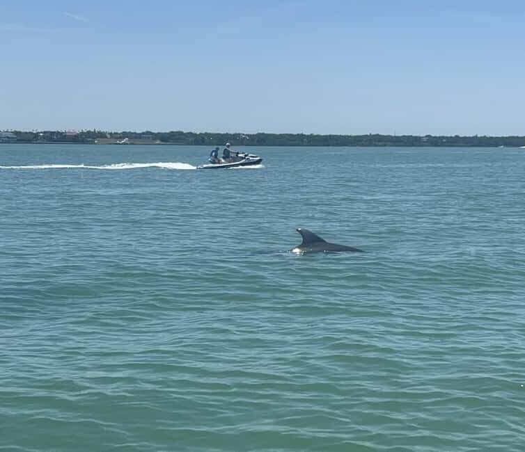 Indian Rocks Beach: Guided Jet Ski Adventure - What to Expect During Your Jet Ski Adventure