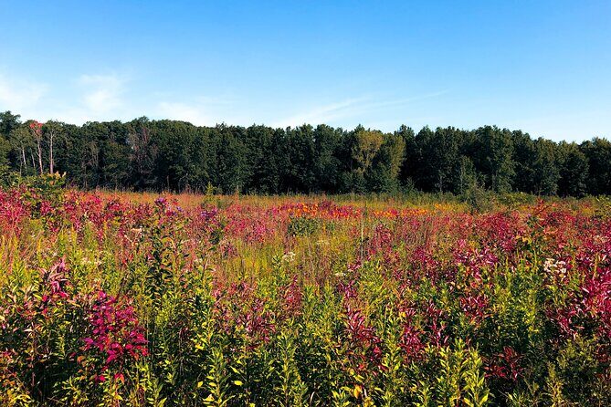 Indiana Dunes National Park Self-Guided Audio Tour - Final Thoughts
