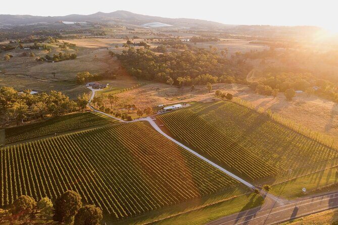 Indulge with Swinging Bridge - The Practicalities: What’s It Like to Book and Attend?