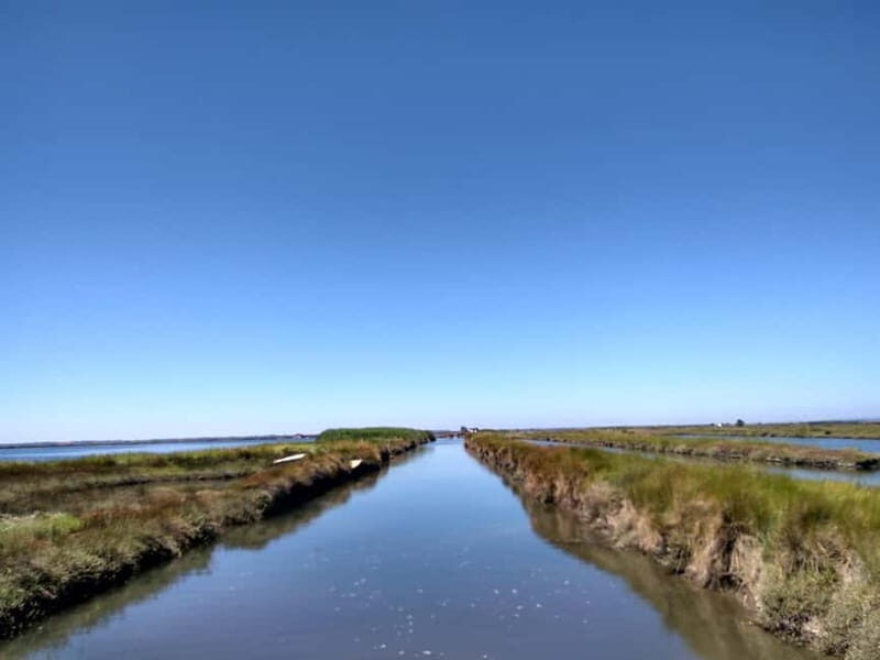 Industry or Nature Boat Tour | Speedboat - Key Points