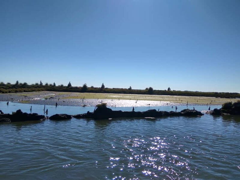 Industry or Nature Boat Tour | Speedboat - Exploring the Experience