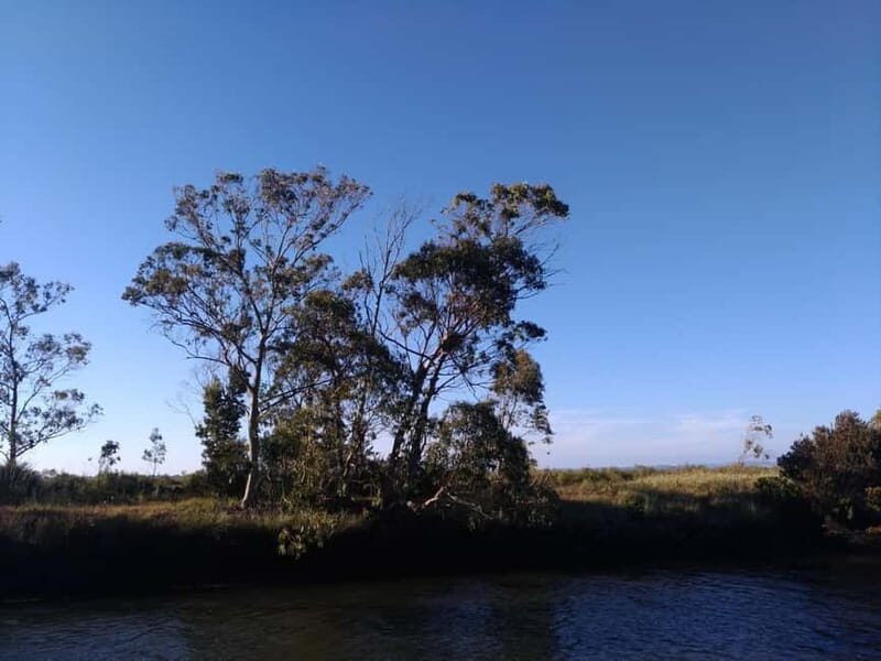 Industry or Nature Boat Tour | Speedboat - FAQs