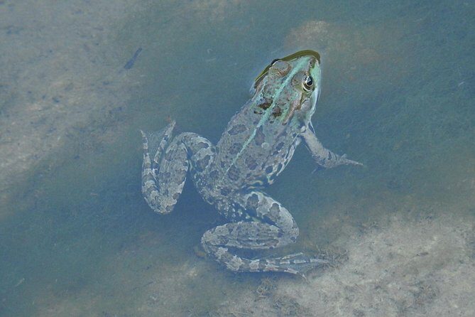 Inflatable boat excursion Gole di Tiberio on the Madonie near Cefalù - FAQ