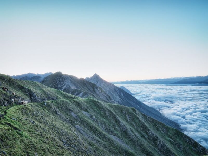 Innsbruck: Alpenzoo & Top of Innsbruck Combination Ticket - Final Thoughts: Is This Tour Right for You?