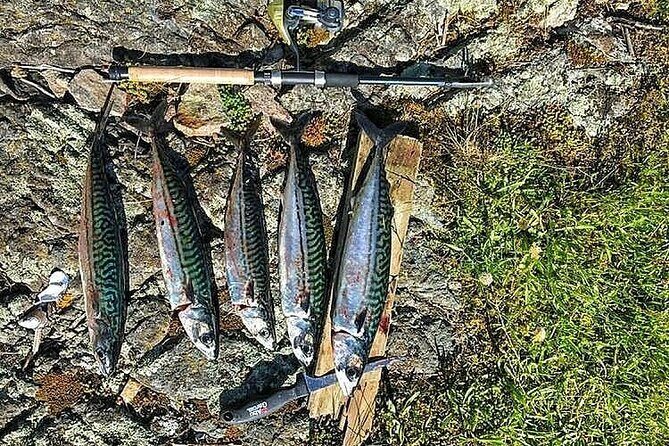 Inshore fishing in the Drangefjord - FAQ