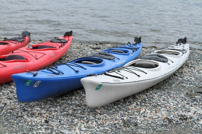 Inside Passage Sea Kayaking in Haines - Key Points