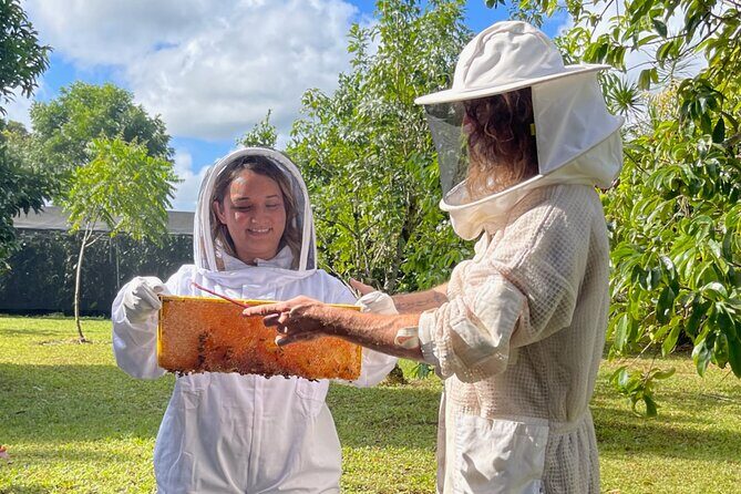 Inside the Hive: Kauai Honey and Bee Tour - The Farms Hidden Corners
