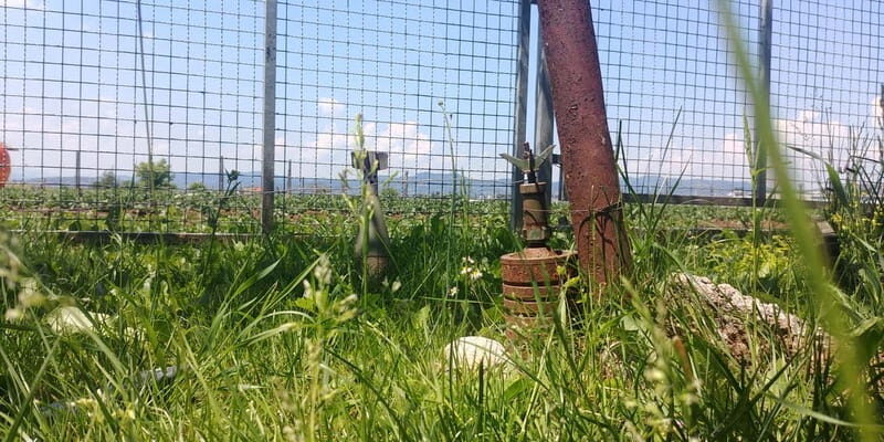 Inside the Siege: Sarajevos Story of Survival - Inside the Siege: Sarajevo’s Story of Survival — A Deep Dive into History and Resilience