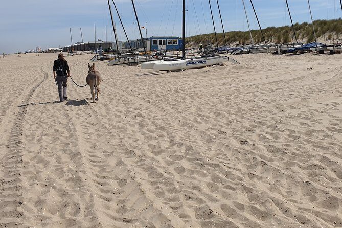 Inspirational Nature Walking Tour with Donkeys in The Hague - FAQ