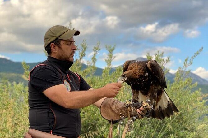 Interactive Educational Course on Birds of Prey - FAQ