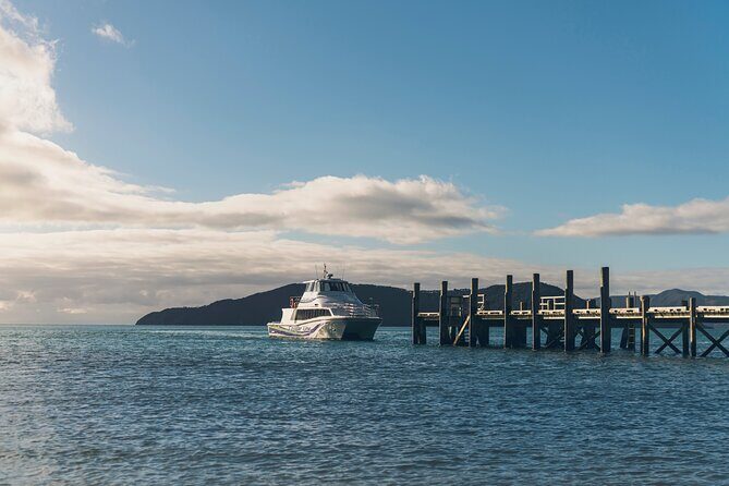 InterIslander Ferry - Picton to Wellington - The Travel Experience: Pros and Cons