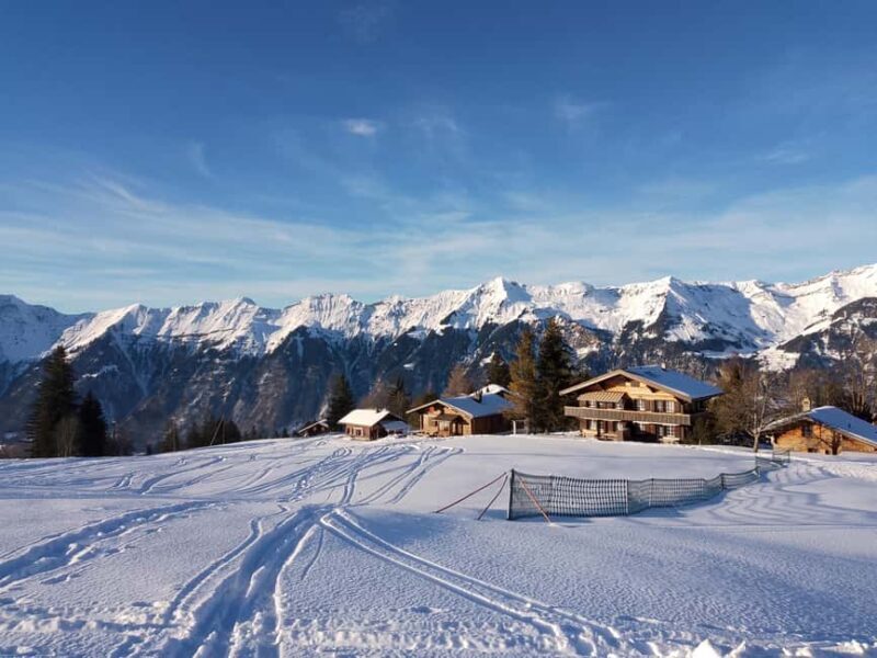 Interlaken: All-inclusive Half-day Ski Taster for beginners - Who Is This Tour Best Suited For?