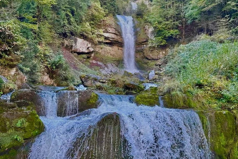 Interlaken: Boat Trip to Giessbach Falls & hike to Iseltwald - What Travelers Say: Authentic Insights